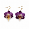 Boucles d'oreilles Léa - Orchidée préservée