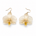Boucles d'oreilles Ivoire - Orchidée préservée