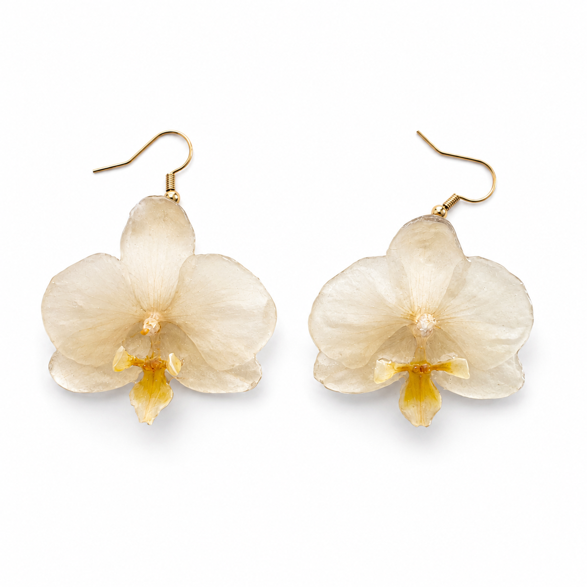 Boucles d'oreilles Ivoire - Orchidée préservée
