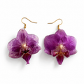 Boucles d'oreilles Mauve - Orchidée préservée