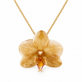 Collier Aurore - Orchidée préservée