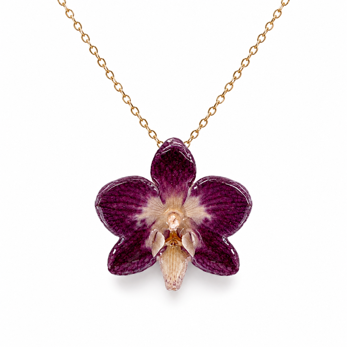 Collier Léa - Orchidée préservée