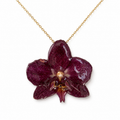 Collier Morgane – Orchidée préservée
